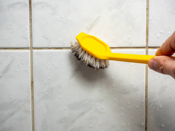Best Same-Day Mold Removal  in New Stanton, PA