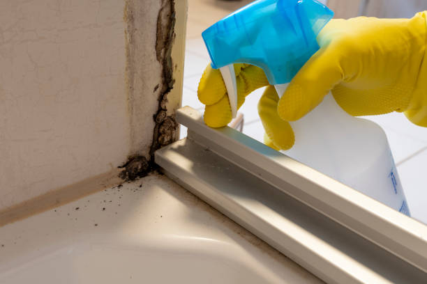 Best Certified Mold Removal  in New Stanton, PA