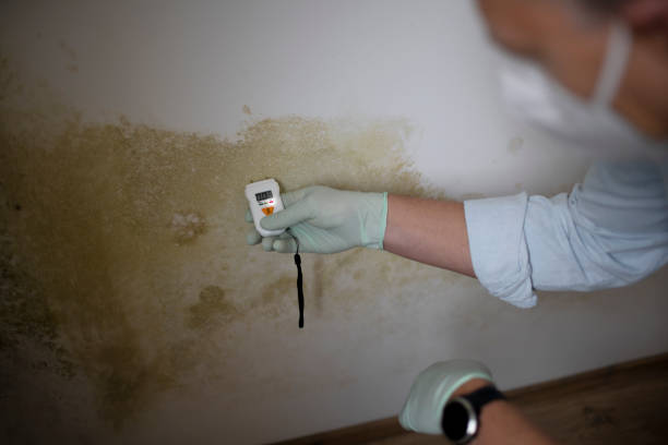 Water Damage Restoration in New Stanton, PA