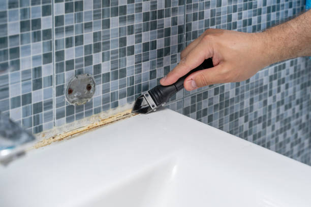 Best Toxic Mold Removal  in New Stanton, PA