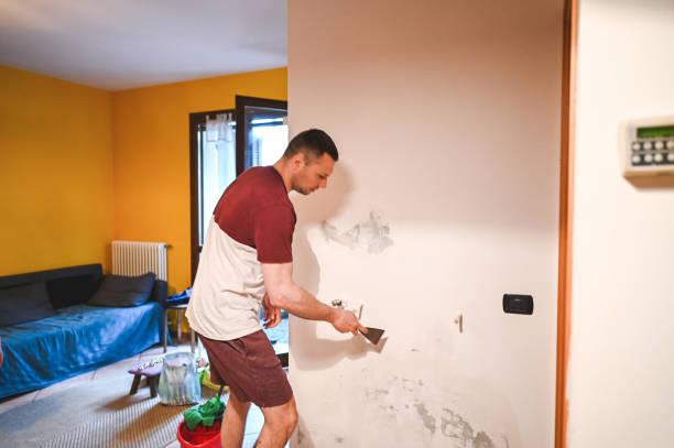 Best Mold Remediation Services  in New Stanton, PA